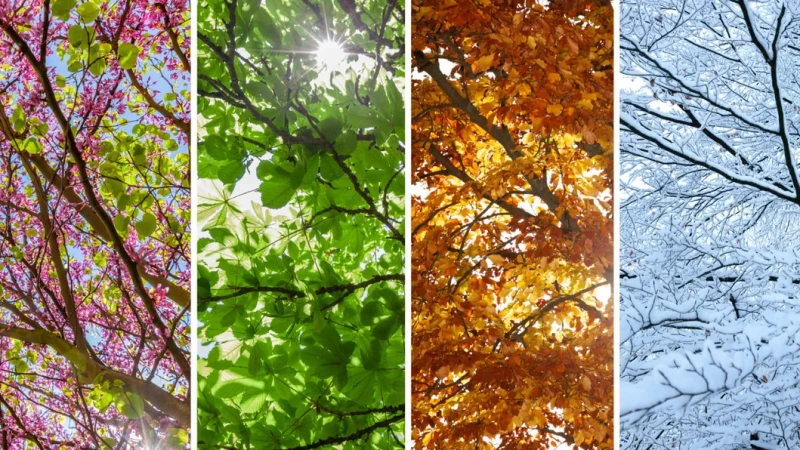 What Your Favorite Season Reveals About Your Personality
