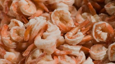 GerryPthaDJ Blog: Shrimp Glowin’ Ain’t Golden